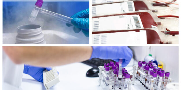 低温冷库RFID电子标签在物联网中的应用 - 上海华苑电子